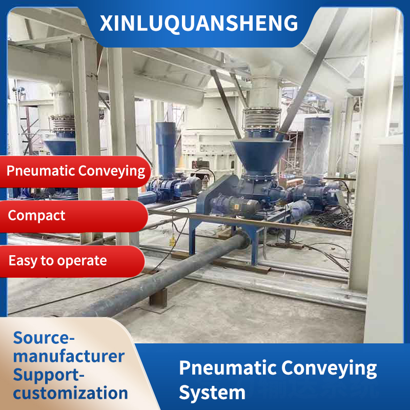 Pneumatic conveying system