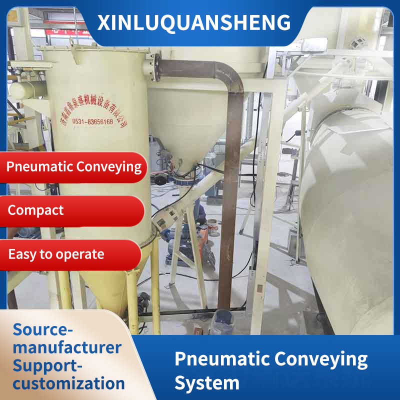 Pneumatic conveying system